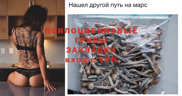 твердый Абаза