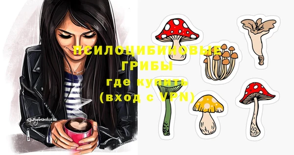 твердый Абаза