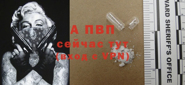 твердый Абаза