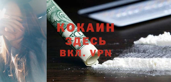 твердый Абаза