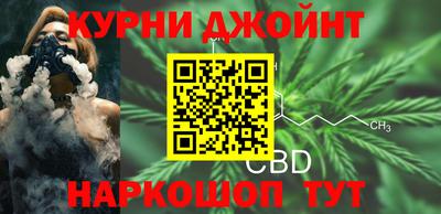 гидра Рязань