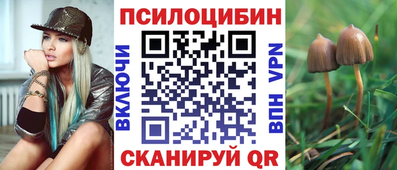 Псилоцибиновые грибы Cubensis  blacksprut рабочий сайт  Тавда 