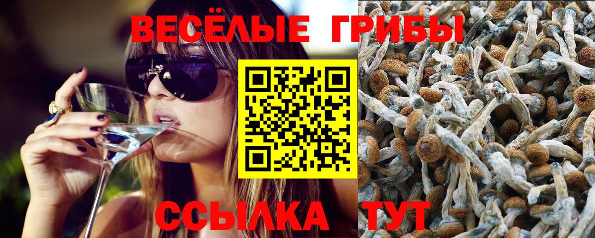 Псилоцибиновые грибы ЛСД Тавда