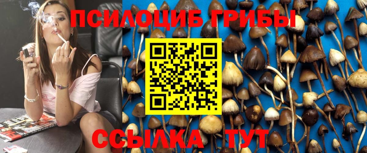Тавда  Галлюциногенные грибы прущие грибы  Вход с VPN  Галлюциногенные грибы Magic Shrooms 