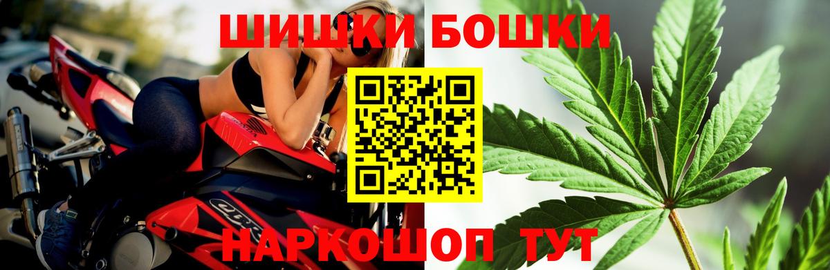 Бошки марихуана планчик  Канабис сатива  Вход с VPN  Тавда 